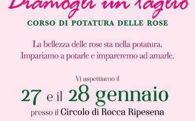 Diamogli un taglio